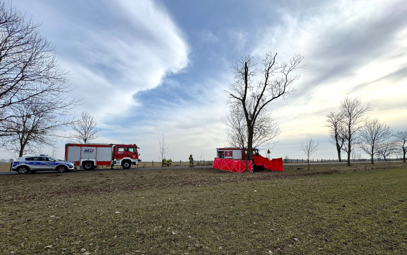5/10 Śmiertelny wypadek na DK22. Nie żyje kierowca forda