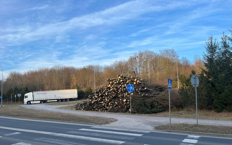 1/4 Wycinka drzew pod budowę farmy fotowoltaicznej na Dekerta