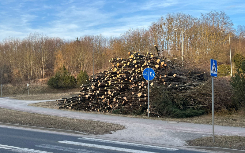 2/4 Wycinka drzew pod budowę farmy fotowoltaicznej na Dekerta