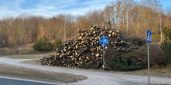 Wycinka drzew pod budowę farmy fotowoltaicznej na Dekerta