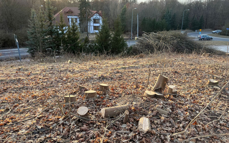 3/4 Wycinka drzew pod budowę farmy fotowoltaicznej na Dekerta