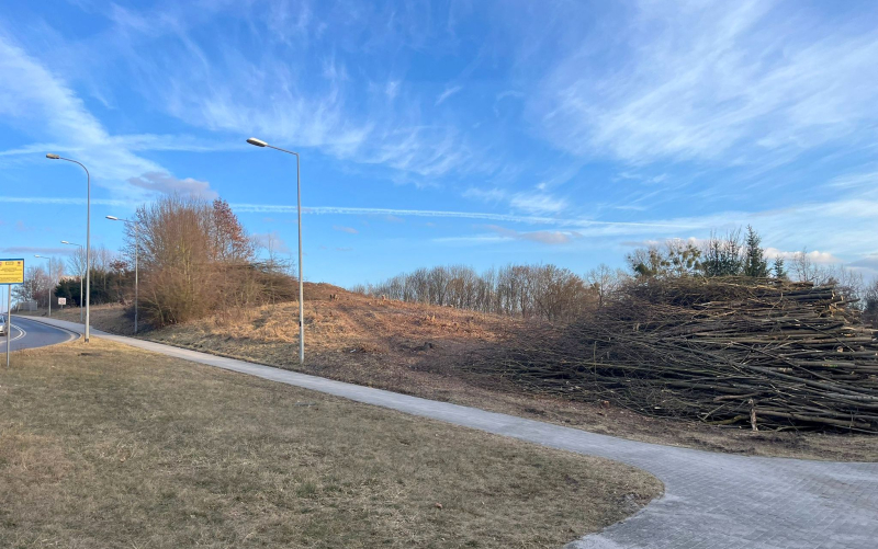 4/4 Wycinka drzew pod budowę farmy fotowoltaicznej na Dekerta