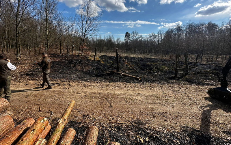 1/5 Pożar ciężarówki przewożącej drewno w Ściechowie