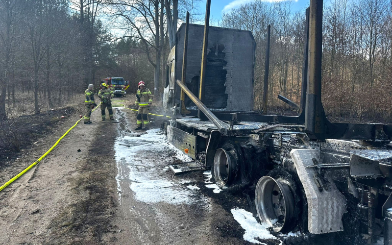 4/5 Pożar ciężarówki przewożącej drewno w Ściechowie