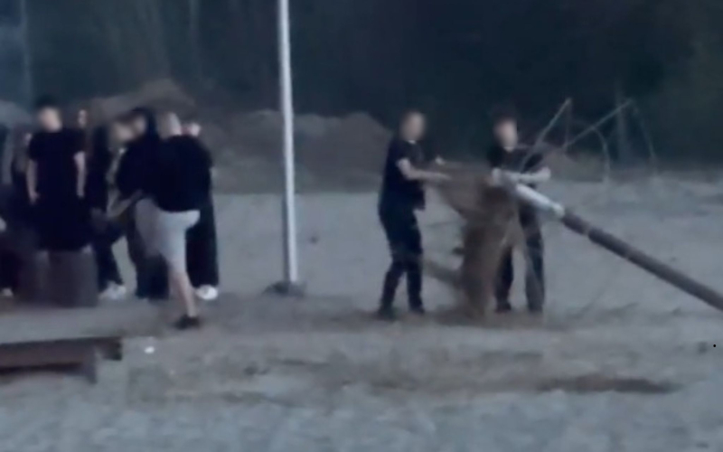 4/6 Niszczyli i palili plażowe parasole w ognisku nad jeziorem w Karninie