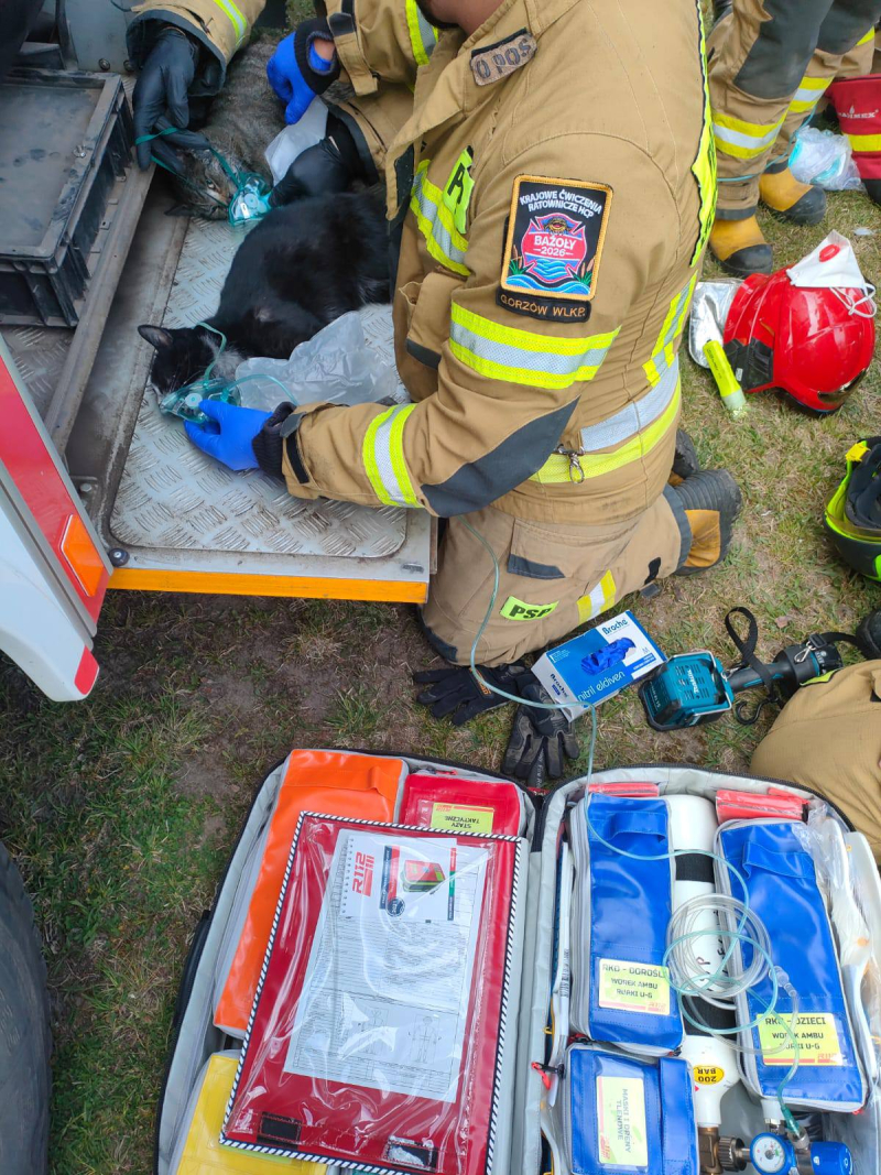 2/8 Pożar domu w Tarnowie. Uratowano dwa koty