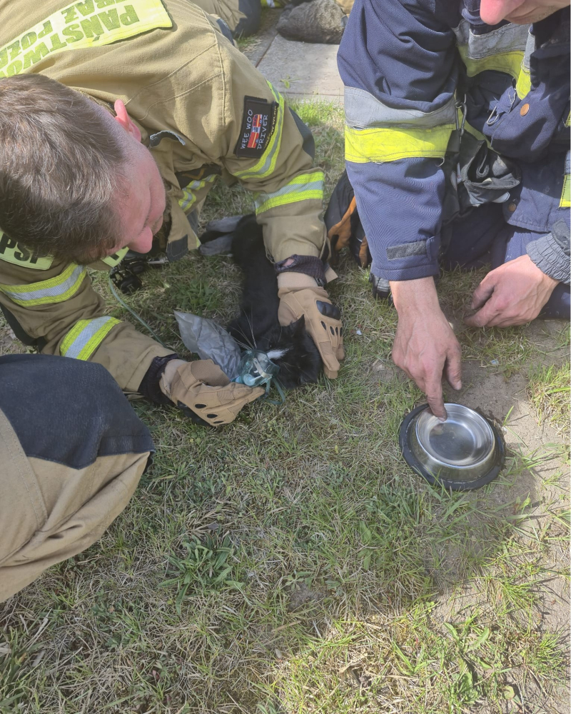 3/8 Pożar domu w Tarnowie. Uratowano dwa koty