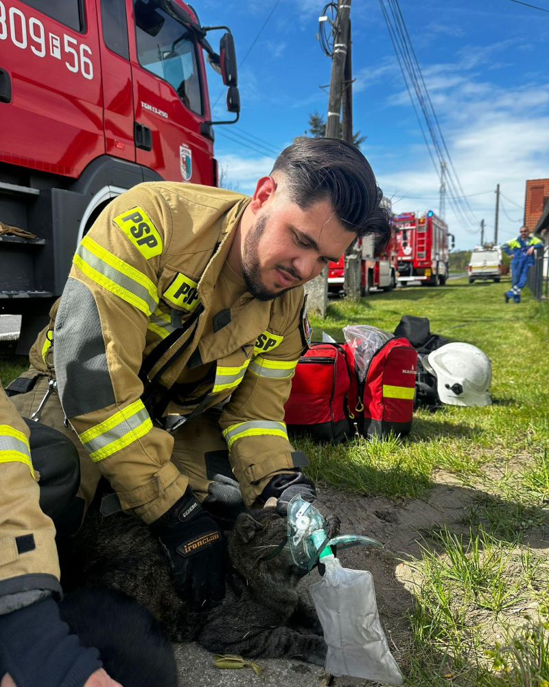 4/8 Pożar domu w Tarnowie. Uratowano dwa koty