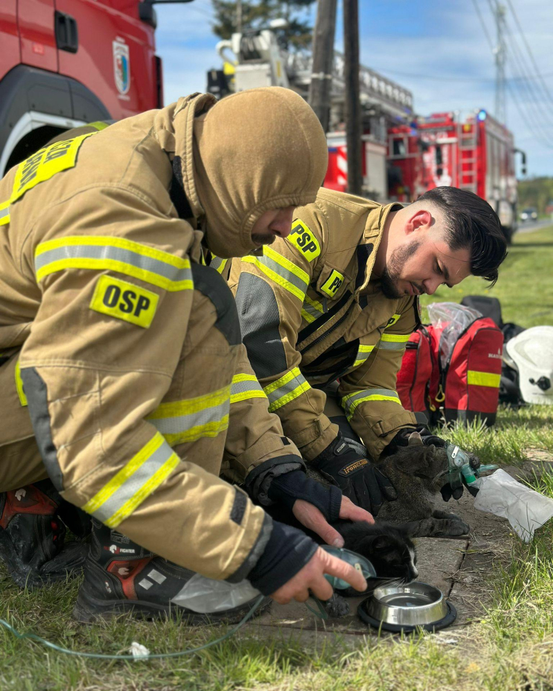 6/8 Pożar domu w Tarnowie. Uratowano dwa koty