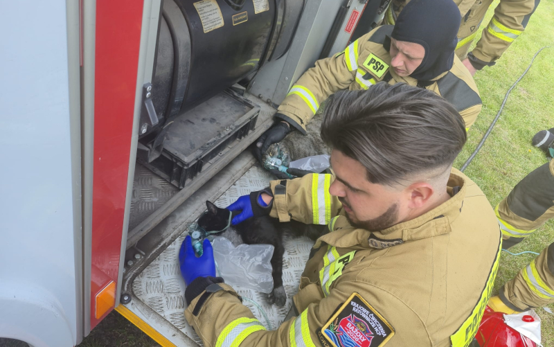 7/8 Pożar domu w Tarnowie. Uratowano dwa koty