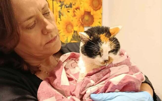 1/8 Kocia seniorka Jaśmina czeka na pomoc