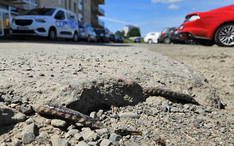 4/8 Betonowe płyty na Siedzikówny-Inki w Gorzowie