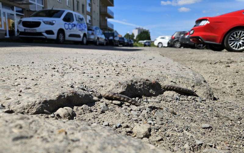5/8 Betonowe płyty na Siedzikówny-Inki w Gorzowie