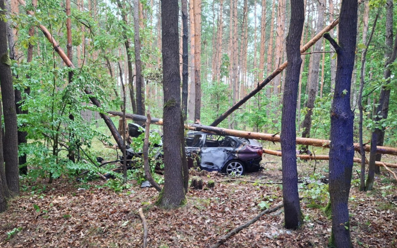 1/4 BMW rozbiło się o drzewa i zapaliło