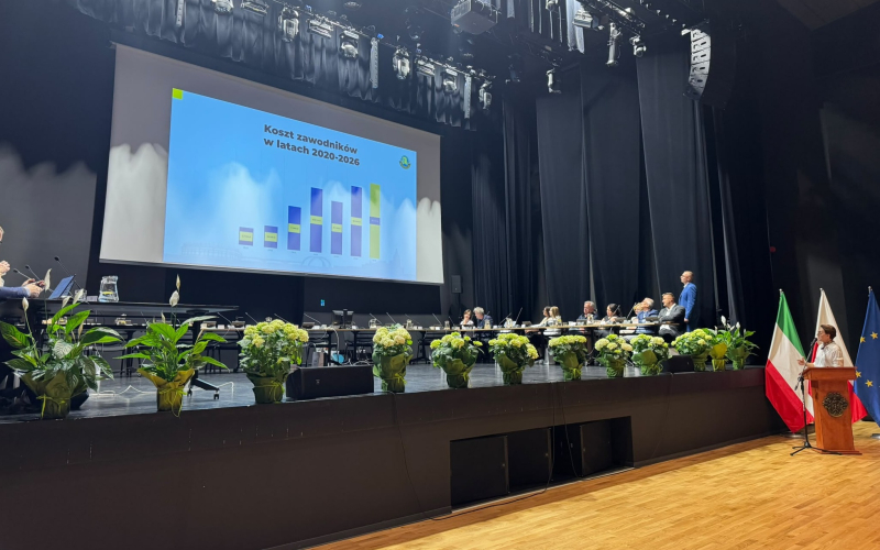 6/13 Sytuacja finansowa Stali Gorzów