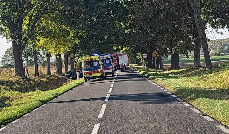 2/5 Wypadek na DW130. Czołówka busa i Seata