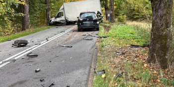 Czołówka Audi i Iveco koło Przyłęgu
