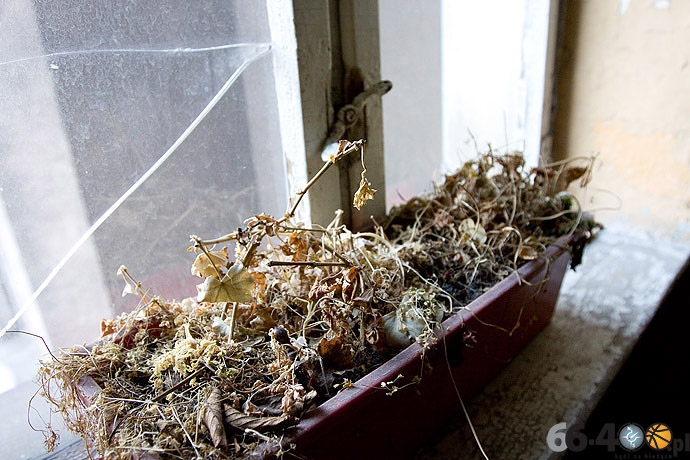 10/31 Gorzów: Życie na gruzach