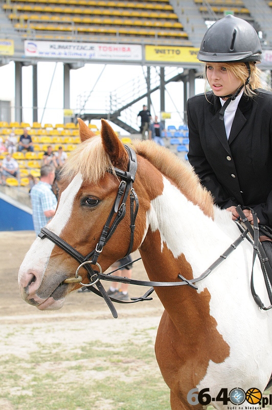 15/33 III Otwarte Mistrzostwa Gorzowa w skokach przez przeszkody