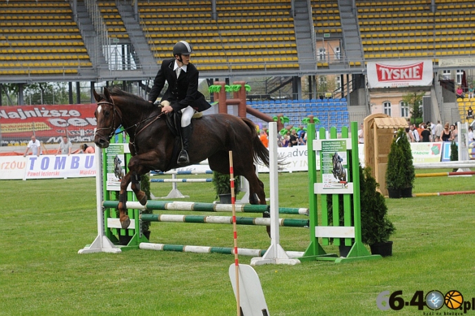 18/33 III Otwarte Mistrzostwa Gorzowa w skokach przez przeszkody