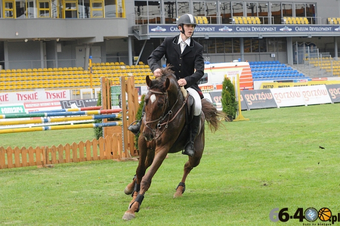 19/33 III Otwarte Mistrzostwa Gorzowa w skokach przez przeszkody