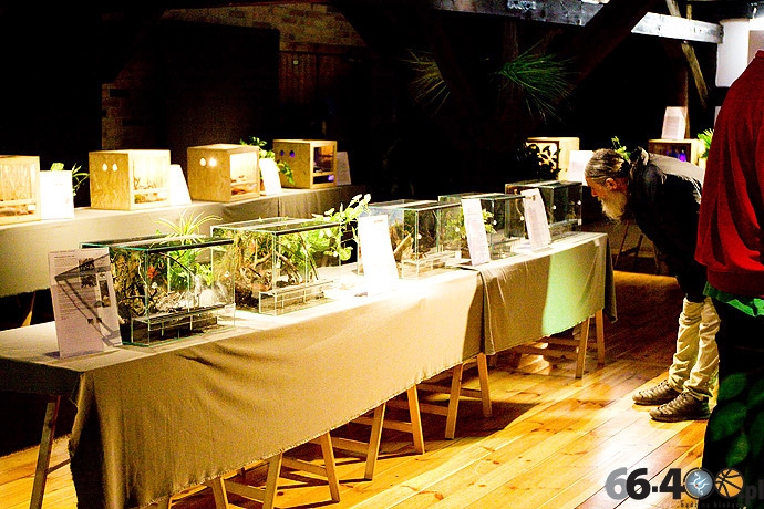 12/16 Gorzów Spichlerz: Wystawa tarantul i owadów