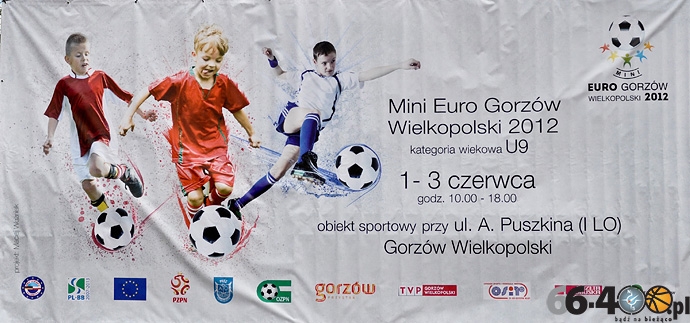 39/87 Mini EURO 2012