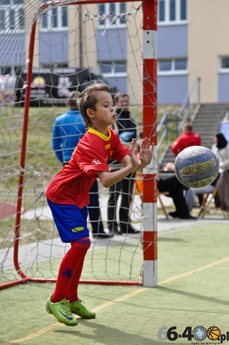 43/87 Mini EURO 2012