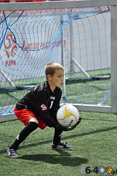 46/87 Mini EURO 2012