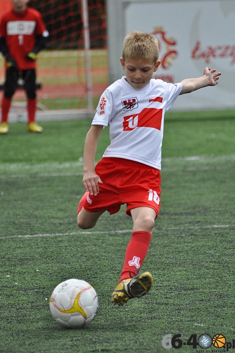 49/87 Mini EURO 2012