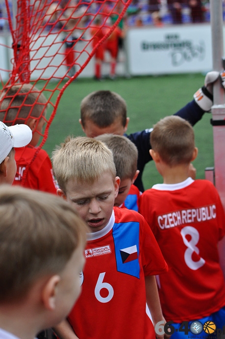 53/87 Mini EURO 2012