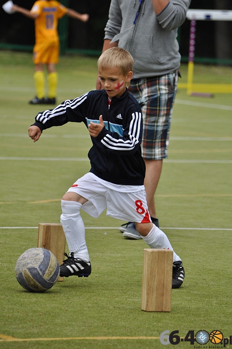 55/87 Mini EURO 2012