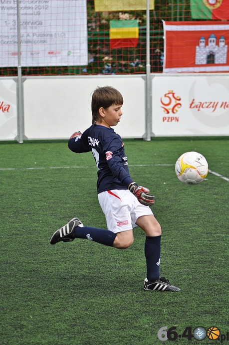 71/87 Mini EURO 2012