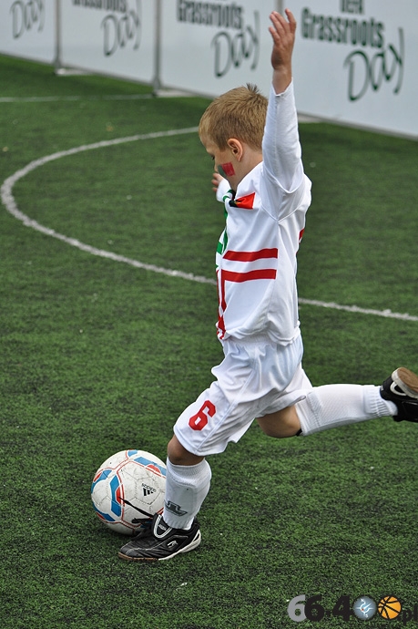 81/87 Mini EURO 2012