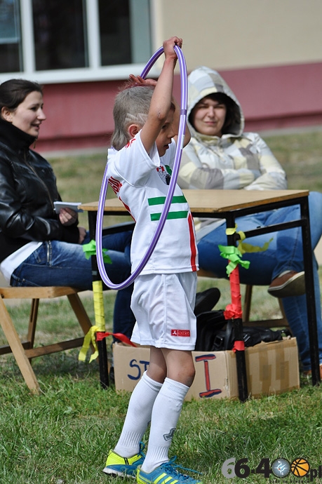 86/87 Mini EURO 2012