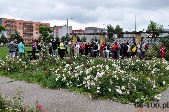 9/52 Gorzów: Marsz Nordic Walking 