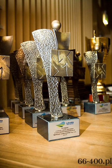 4/49 Gorzów: Gala - Lubuski Lider Biznesu