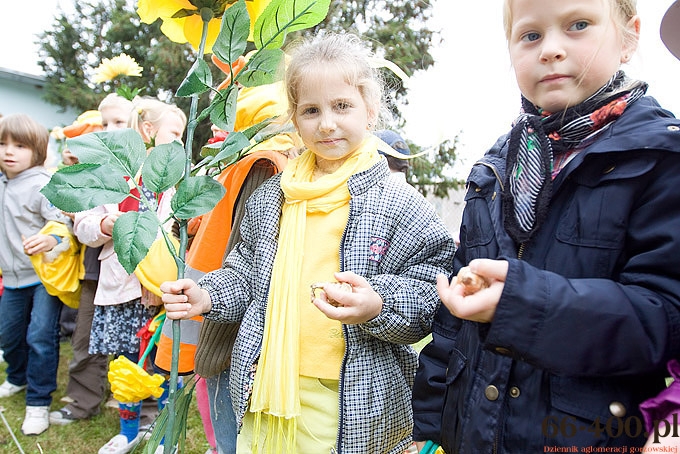 11/23 Gorzów: Pola Nadziei - Hospicjum