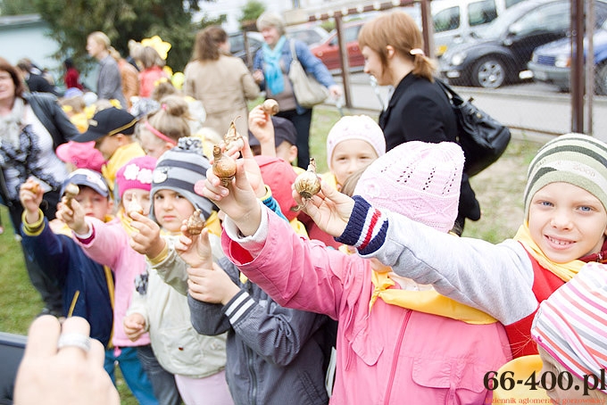 14/23 Gorzów: Pola Nadziei - Hospicjum