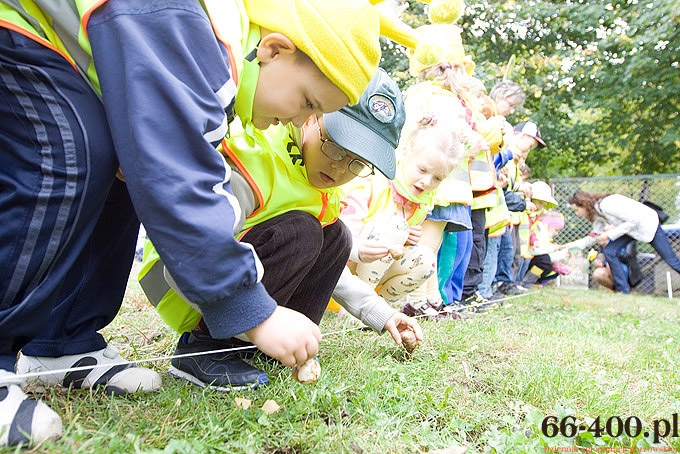 17/23 Gorzów: Pola Nadziei - Hospicjum