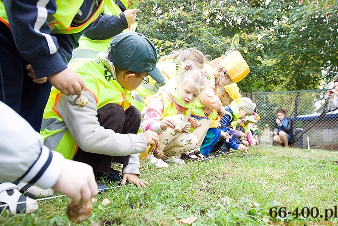 18/23 Gorzów: Pola Nadziei - Hospicjum