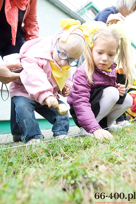 21/23 Gorzów: Pola Nadziei - Hospicjum