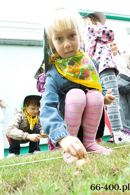 23/23 Gorzów: Pola Nadziei - Hospicjum