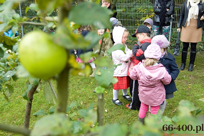 1/15 Gorzów: Dzień Jabłka - Przedszkole Miejskie nr 16