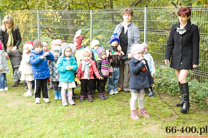 5/15 Gorzów: Dzień Jabłka - Przedszkole Miejskie nr 16