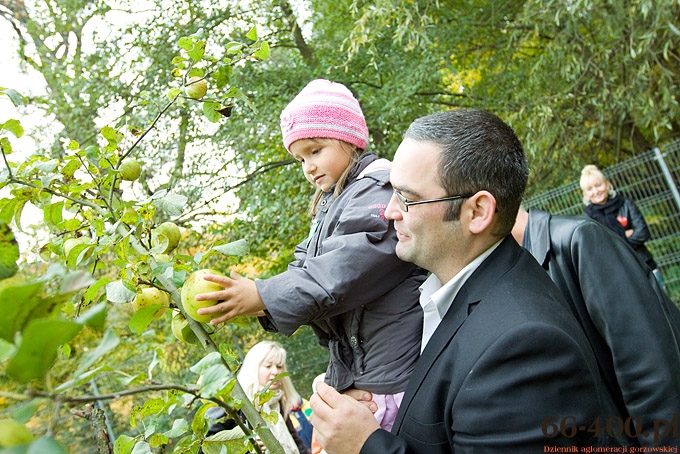 6/15 Gorzów: Dzień Jabłka - Przedszkole Miejskie nr 16