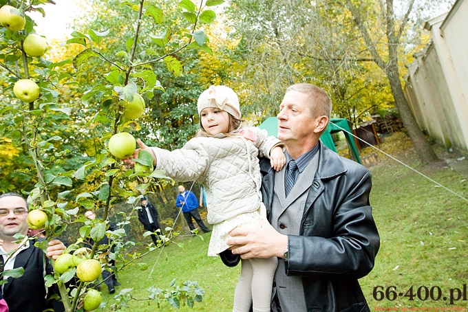 8/15 Gorzów: Dzień Jabłka - Przedszkole Miejskie nr 16