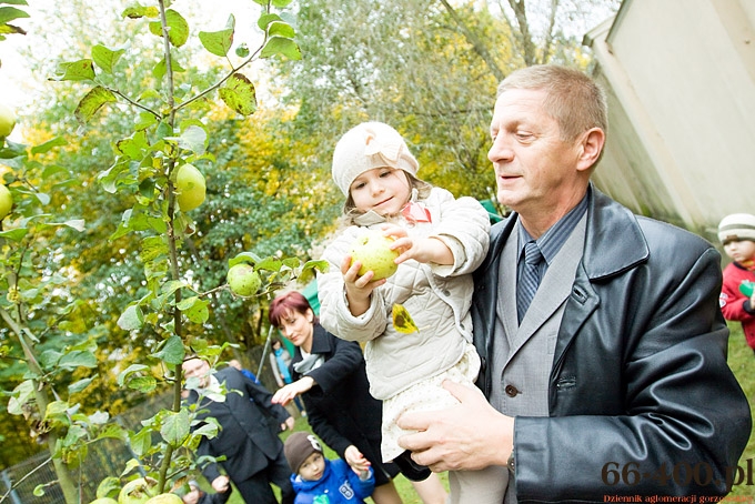 9/15 Gorzów: Dzień Jabłka - Przedszkole Miejskie nr 16