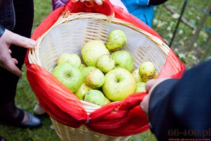10/15 Gorzów: Dzień Jabłka - Przedszkole Miejskie nr 16