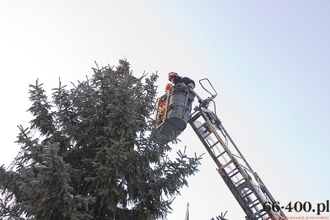 7/16 Gorzów: Przedszkolaki ubrały choinkę